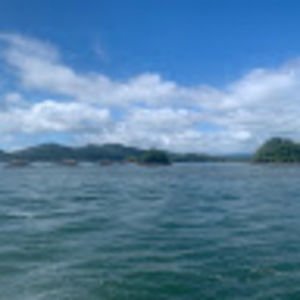 Meet your Posher, Audrey